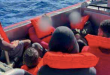 Guardia Costera rescata a 34 inmigrantes (VIDEO)