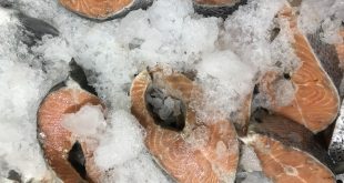 Filetes de pez espada congelado.