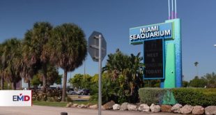 Disputa a las puertas del acuario de Miami tras orden de desalojo