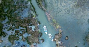 El lago Titicaca recupera niveles previos a la sequía debido a intensas lluvias en Bolivia