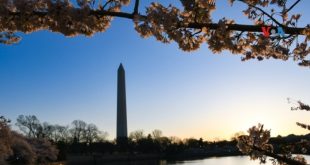 En Fotos | Inicio de la primavera en Washington DC