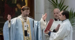 El Cardenal Arzobispo de Madrid, José Cobo Cano.