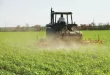 Fedeagro advirtió sobre el impacto que ha tenido el fenómeno El Niño en la siembra nacional