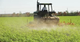 Fedeagro advirtió sobre el impacto que ha tenido el fenómeno El Niño en la siembra nacional