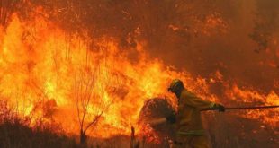 La NASA detectó más de 11.000 incendios en Venezuela durante marzo de 2024