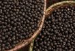 Las bayas de açaí son ricas en polifenoles antioxidantes