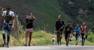 Reportan el regreso de caminantes venezolanos a vías de Colombia