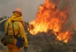 Autoridades controlan 11 de los 15 incendios forestales registrados en el país