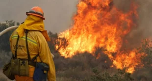 Autoridades controlan 11 de los 15 incendios forestales registrados en el país