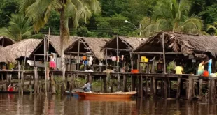 Investigan la muerte de 12 niños waraos en Delta Amacuro