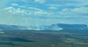 Las autoridades detienen a 16 personas por provocar incendios forestales