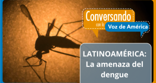 América Latina en alerta roja por el aumento récord de casos de dengue