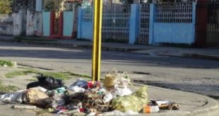 Cienfuegueros preocupados por la fiebre Oropouche