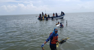 Hallan el cuerpo del último tripulante del avión siniestrado en Zulia