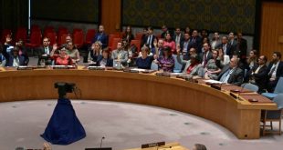 Consejo de Seguridad de la ONU respalda plan EEUU de alto el fuego entre Israel y Hamás