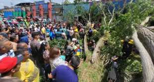 Dos muertos y varios heridos tras la caída de un árbol en Tucupita