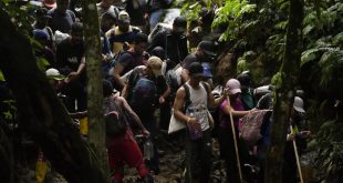 Gobierno de Panamá reporta incremento en el cruce de venezolanos por el Darién en lo que va de 2024