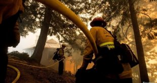 Incendios forestales en Guatemala han afectado 46.000 hectáreas de terreno