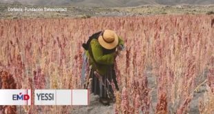 Yessica Yana, una aimara boliviana que inspira desde el campo y la tecnología