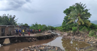 Cumanacoa y los sectores que sufrieron daños por el paso del huracán Beryl en el mar Caribe