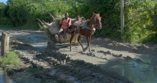 Info Martí | Entre fango y el agua a la rodilla viven residentes de barrio marginal en Guantánamo