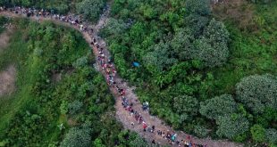 Panamá cierra tres pasos no autorizados en selva del Darién