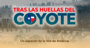 Tras las huellas del coyote