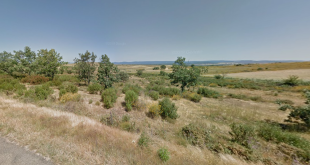 Camino entre las localidades San Vitero y Grisuela donde el hombre ha sido encontrado.