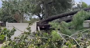 Francine se debilita en tierra tras causar apagones en Luisiana y Mississippi