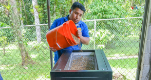 Honduras acogerá la IV Cumbre para la Sostenibilidad del Café