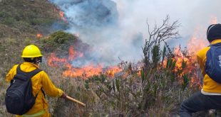 Sube a 20 el número de muertos en los incendios forestales de Perú