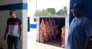 Alerta por venta de carne de burros y caballos en El Tigre