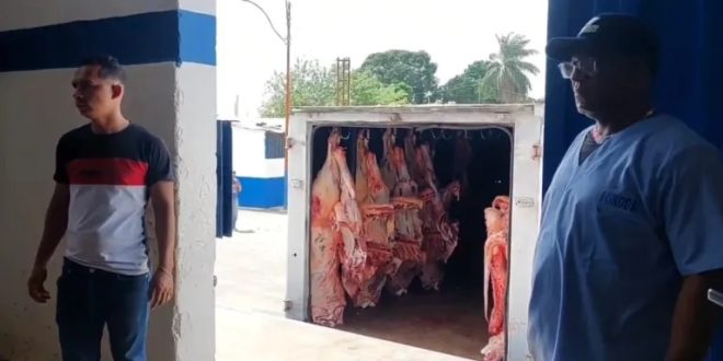 Alerta por venta de carne de burros y caballos en El Tigre