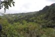 Así es la Chorrera, la cascada más alta de Colombia