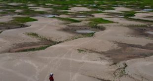 La sequía del río Amazonas provoca emergencia de sequía en zonas de Colombia