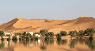 Lluvias inundan el desierto del Sahara por primera vez en más de 50 años