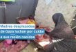 Madres desplazadas de Gaza luchan por cuidar a sus recién nacidos