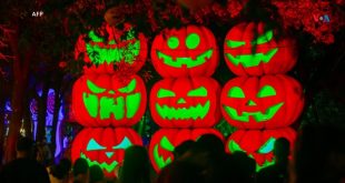 México celebra el Festival de la Calabaza 2024