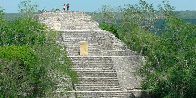 Un estudiante descubre por accidente una enorme ciudad maya perdida en la jungla mexicana