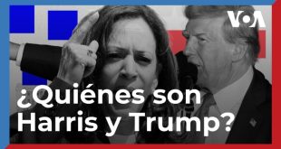 el perfil de los candidatos presidenciales Kamala Harris y Donald Trump