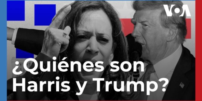 el perfil de los candidatos presidenciales Kamala Harris y Donald Trump