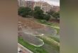 Captaron en VIDEO el catastrófico momento que llega la crecida del agua en Valencia