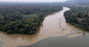 Detenidos dos empresarios y dos funcionarios por contrabando de oro en la Amazonía