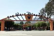 Disney pagará $43.3 millones para resolver demanda por discriminación salarial