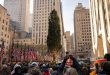 El árbol de Navidad del Rockefeller Center llega a Nueva York