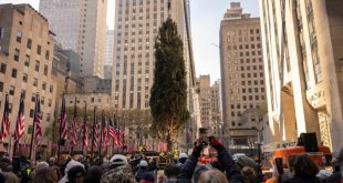 El árbol de Navidad del Rockefeller Center llega a Nueva York