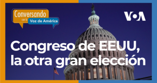 Elecciones legislativas, tan importantes como las presidenciales.