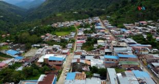 En Fotos | Excombatientes de las FARC producen buen café en apuesta por la paz