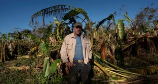 En Fotos | ¿Cómo salir de la crisis? Agricultores cubanos enfrentan consecuencias del huracán Rafael