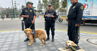 En fotos | Operativos de seguridad custodian Lima ante la llegada de presidentes al Foro de Cooperación Económica Asia-Pacífico